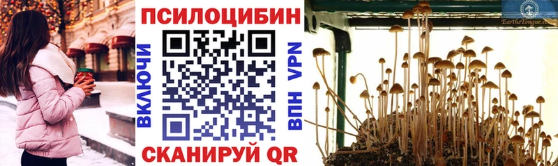 Псилоцибиновые грибы мухоморы  МЕГА сайт  Щёлкино 